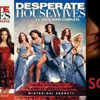 LOTTO DESPERATE HOUSEWIVES  - SCANDAL  - DVD NUOVI