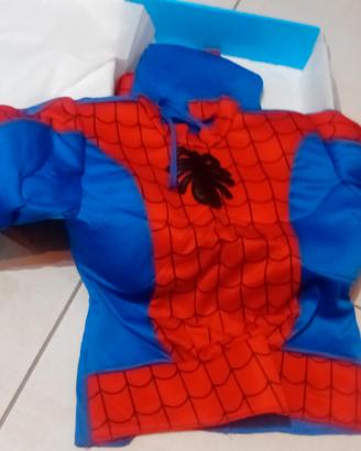 vestito di carnevale 