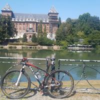 MTB 29 Cube hpc elite 