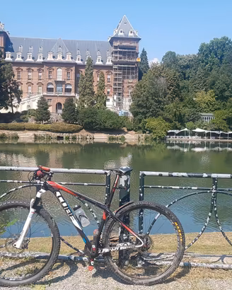 MTB 29 Cube hpc elite 
