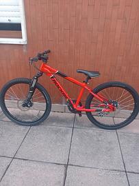 bicicletta rockraider