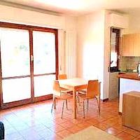 Zona Liceo Luminoso Bilocale arredato Euro 78.000