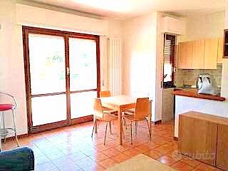 Zona Liceo Luminoso Bilocale arredato Euro 78.000