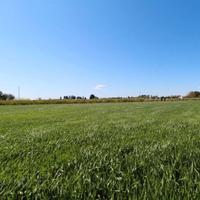 10000 mq a 500 metri da Mesagne edificabile