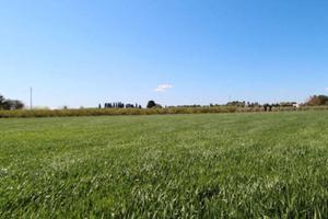 10000 mq a 500 metri da Mesagne edificabile