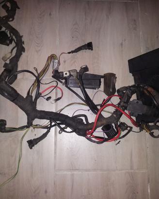 Cablaggio Bmw r1100rs