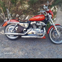 Vendo sportster 1200 personalizzato