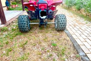Quad in vedita