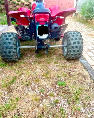 Quad in vedita