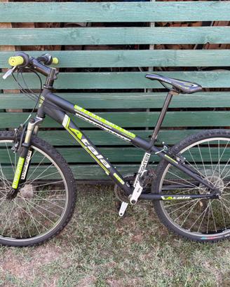 Bici da bambino
