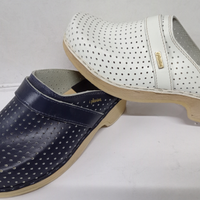 Zoccolo olander plantas