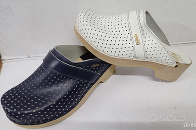 Zoccolo olander plantas