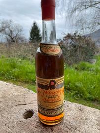 Brandy dalla Georgia