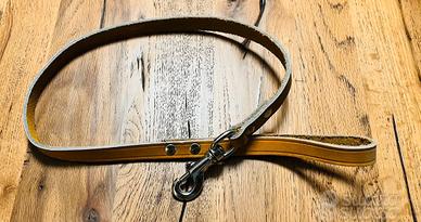 Set guinzaglieria cane nuova