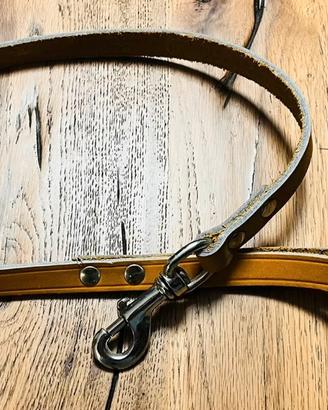 Set guinzaglieria cane nuova