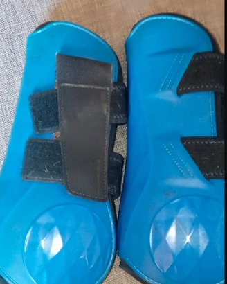 Paracolpi protezione cavallo equitazione