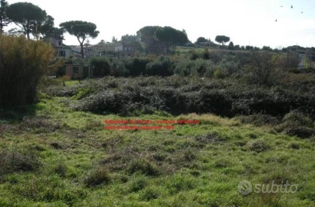 Immobile in asta di 6756 m² a Marino - Altro