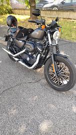 Harley davidson 883 iron