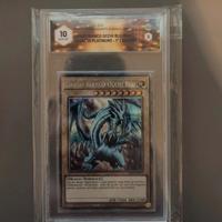 Drago bianco occhi Blu GRAAD 10