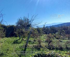 Appartamento Spoleto [A4305470]