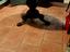 Immagine 4