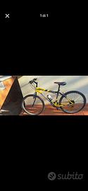 Bicicletta