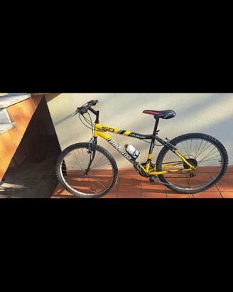 Bicicletta
