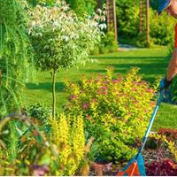  mi rendo disponibile per lavori di giardinaggio