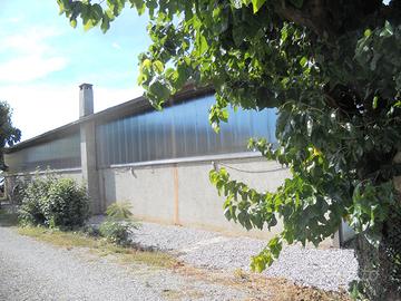 Capannone a rizzolo di reana del rojale udine