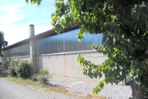 Capannone a rizzolo di reana del rojale udine