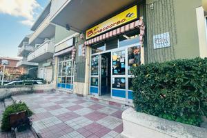 L136 - Michelangelo, locale con ampio magazzino