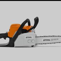 Stihl Ms 170