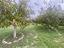 Immagine 24