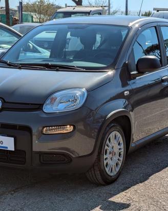 FIAT Panda FireFly Hybrid 1.0cc 69cv