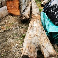 Vecchie travi in legno