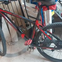 MTB 29 FRW carbon 