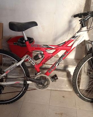 bicicletta