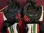 Immagine 2