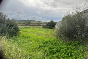 Area edificabile a Siamanna