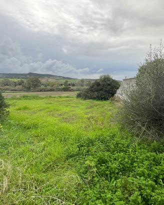 Area edificabile a Siamanna