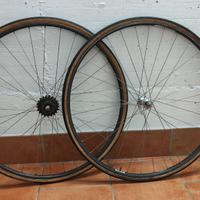 cerchi in Nisi ,  mozzi Campagnolo