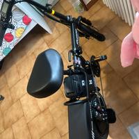 Bicicletta elettrica