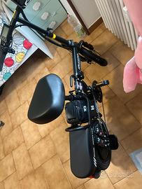 Bicicletta elettrica