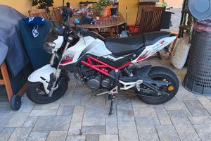 Benelli tornado naked 