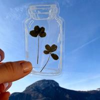 2 quadrifogli segnalibro porta fortuna