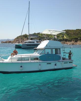 Natante 10 mt linea d'asse turbo diesel 2 motori