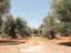 Immagine 29