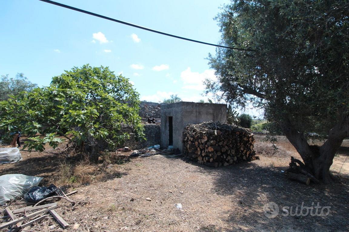 Terreno con trullo c.da Neviera San Marzano di S.G - Vista 3