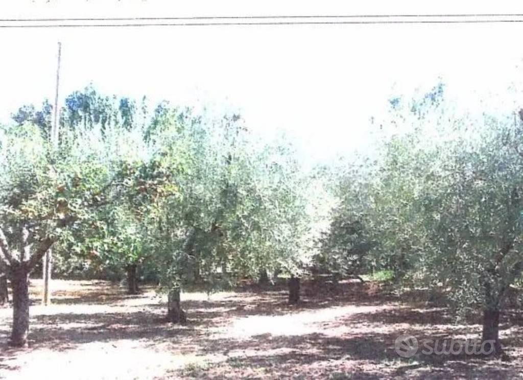 Appartamento – Velletri, Contrada Malatesta - Altro