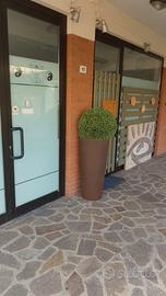 Studio/Ufficio/Laboratorio Riccione